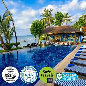 Palm Coco Mantra 3*