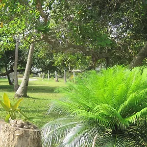 Maison d'hôtes Sira Sarai Garden